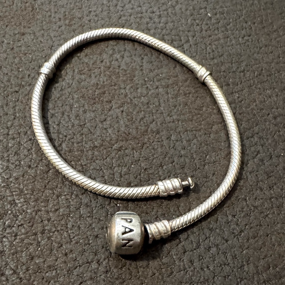 Pandora Snake Chain Bracelet